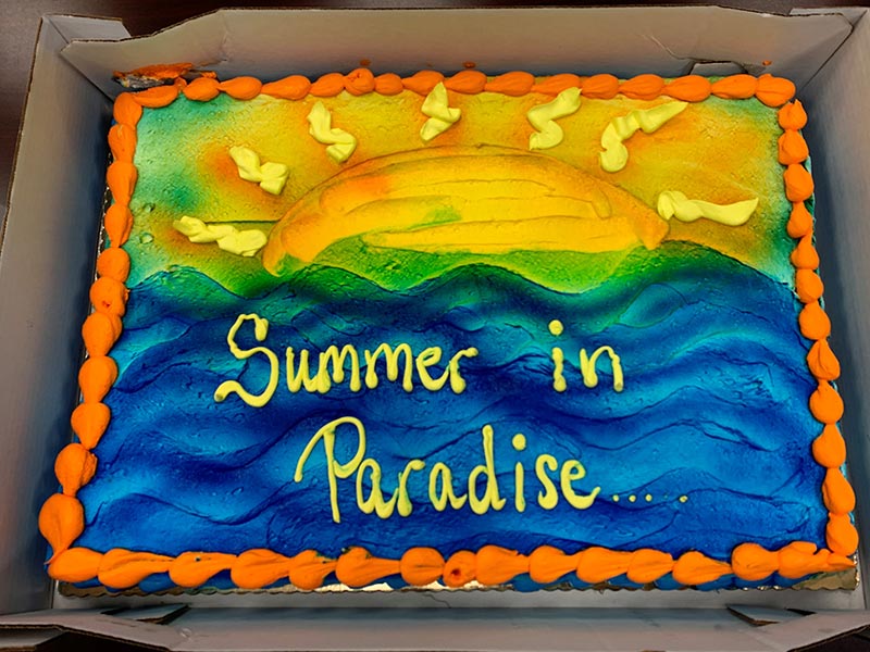 Community partners bring “Summer in Paradise” to Delaney Hall